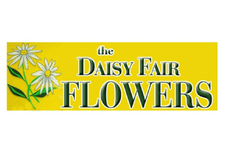 The Daisy Fair Flowers